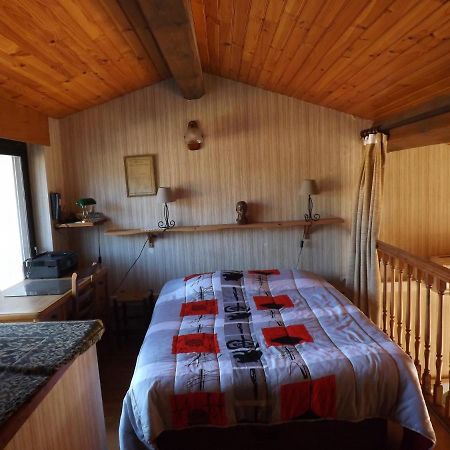 T3 Tres Agreable, 2 Terrasses, Bien Place Amélie-les-Bains-Palalda Eksteriør billede